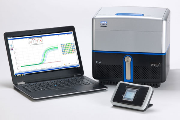 Real Time Pcr System