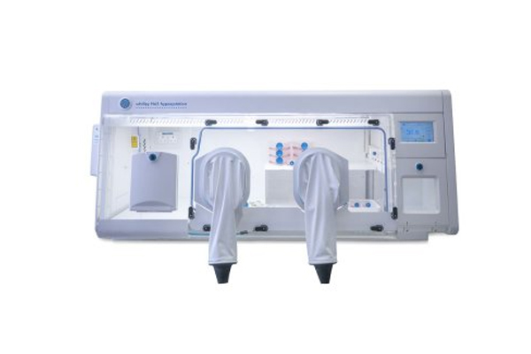 Hypoxic Workstation / Whitley H45 Hypoxystation