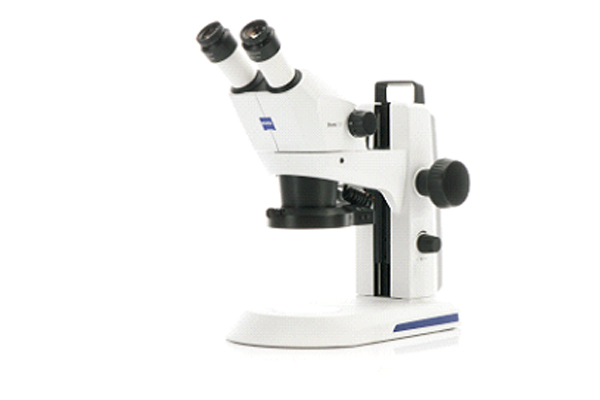 Stereo Microscopes - ZEISS Stemi 305/Stemi 508