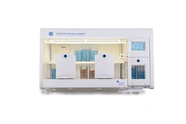 Anaerobic Workstations 