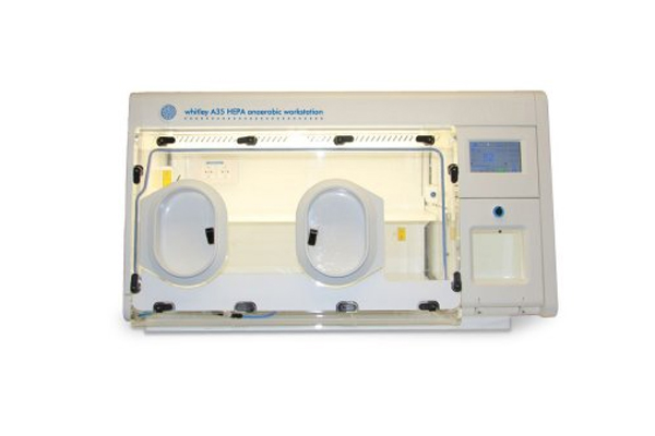 Anaerobic Workstations / Whitley A35 HEPA Workstation 