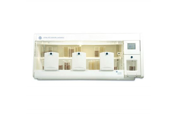 Anaerobic Workstations / Whitley A45 Workstation