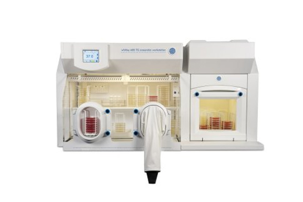 Whitley A85TG Workstation