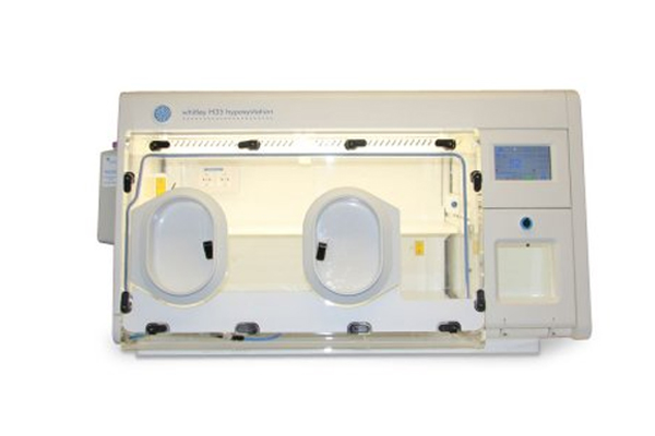 Hepa Workstation / Whitley H35 HEPA Hypoxystation