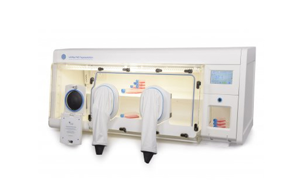 Hepa Workstation / Whitley H45 HEPA Hypoxystation
