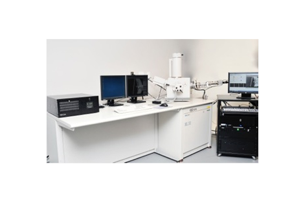 InSEM Microprobe